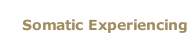 Somatic Experiencing